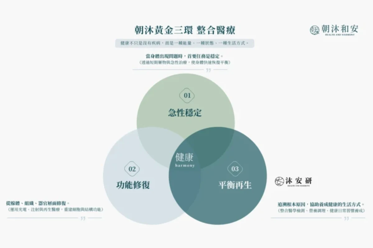 整合治療,朝沐醫療黃金三環